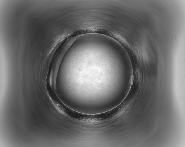 X0000085730638200703161006