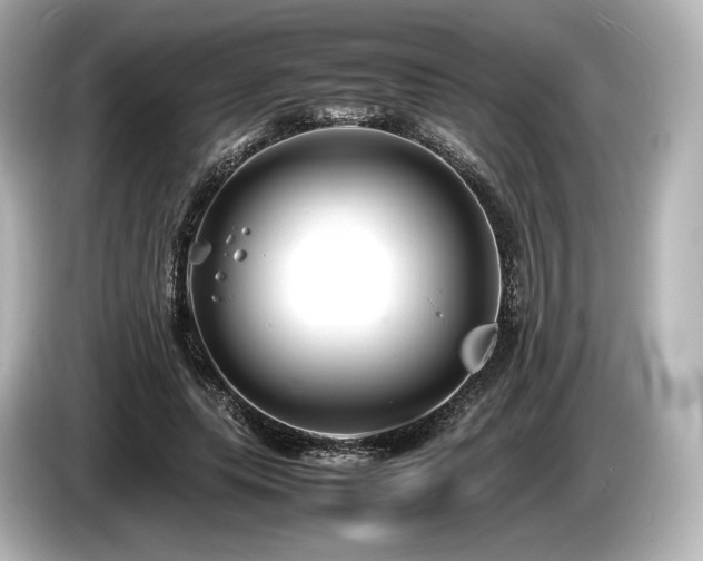 X0000085730639200703161006