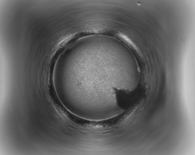 X0000085730640200703161006