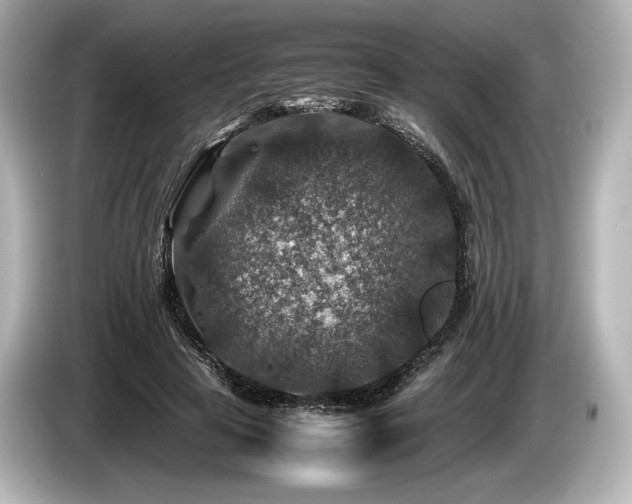 X0000085730641200703161006