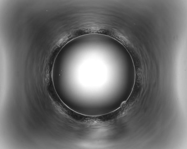 X0000085730642200703161006