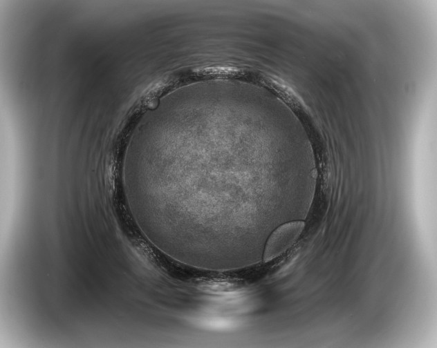 X0000085730643200703161006