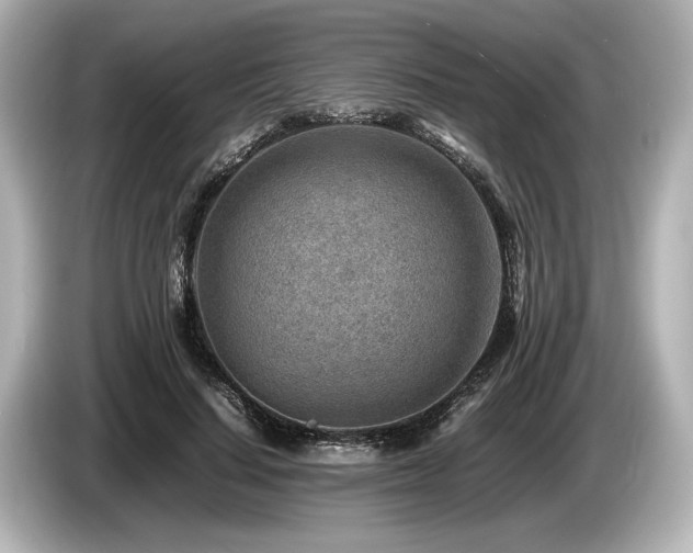 X0000085730644200703161007