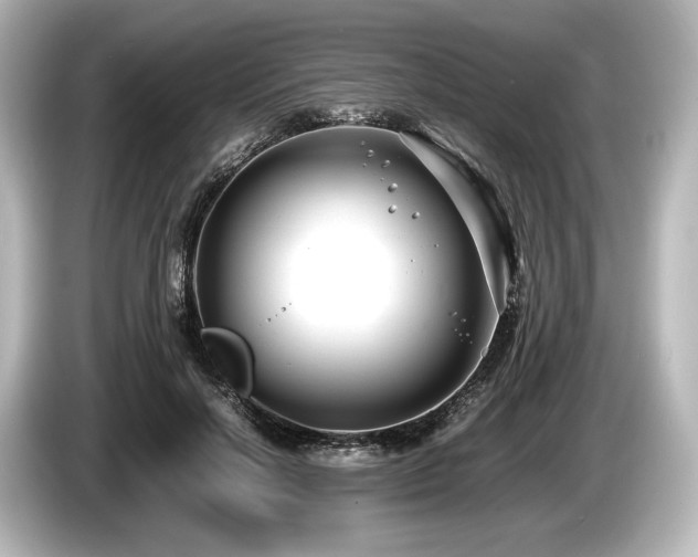 X0000085730646200703161007