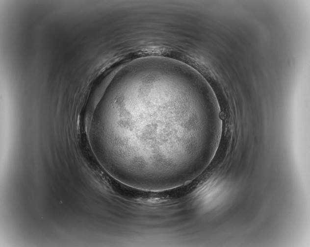 X0000085730647200703161007