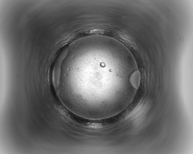 X0000085730649200703161007