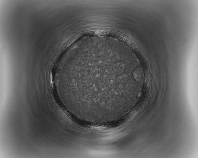 X0000085730650200703161007