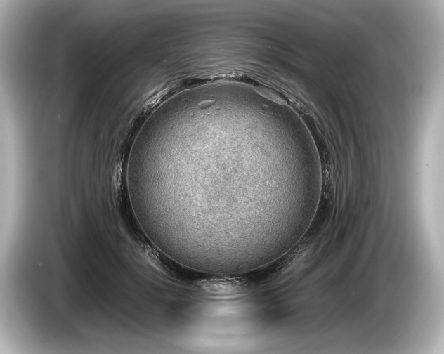 X0000085730652200703161007