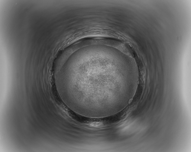 X0000085730653200703161007