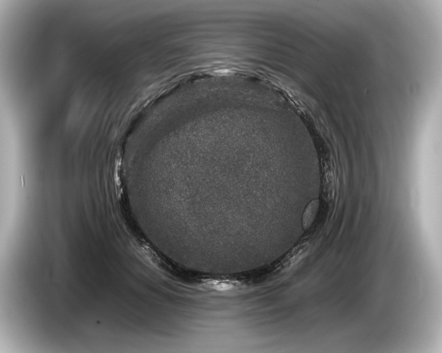 X0000085730654200703161007