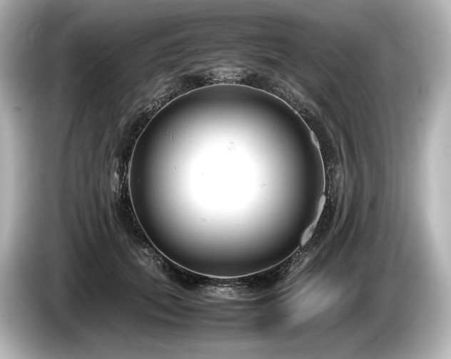 X0000085730655200703161007