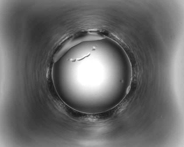 X0000085730656200703161007