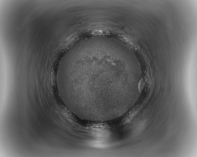 X0000085730659200703161007