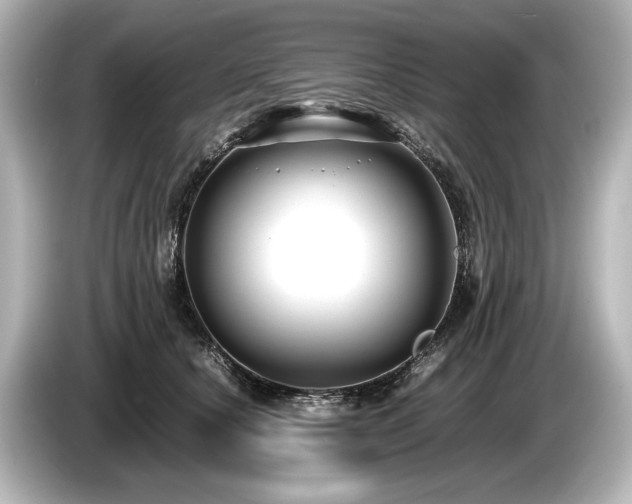 X0000085730660200703161007