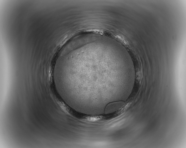 X0000085730662200703161007