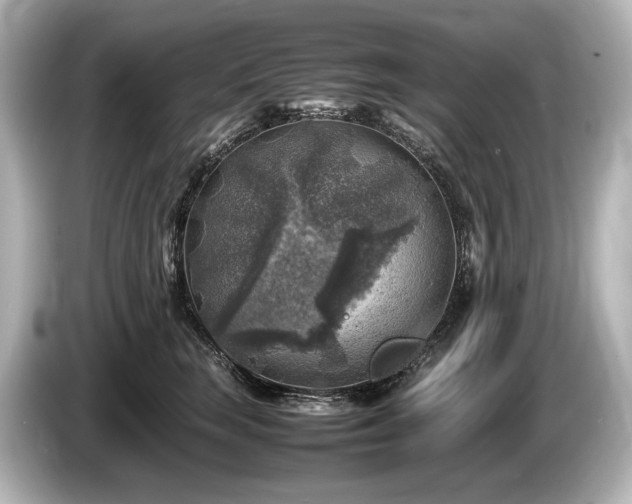 X0000085730663200703161007