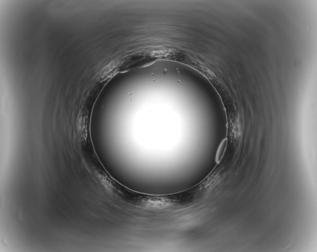 X0000085730666200703161007