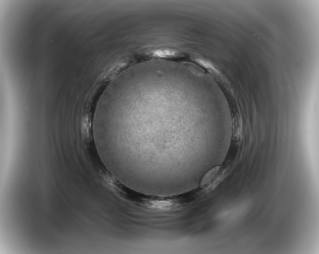 X0000085730669200703161007