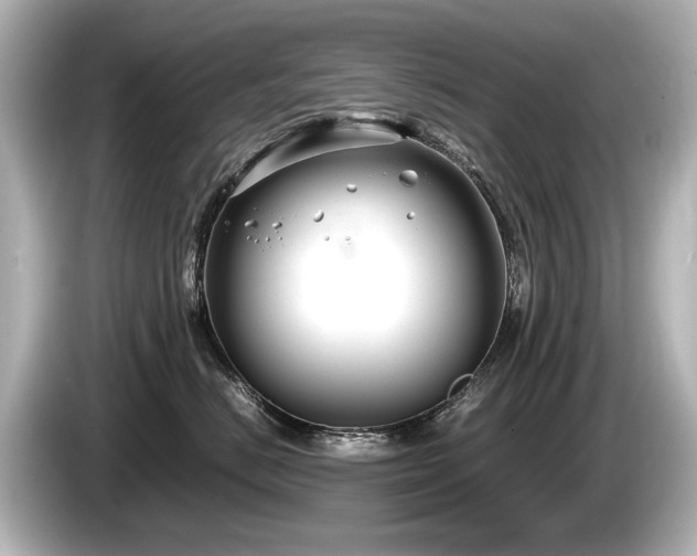 X0000085730670200703161007