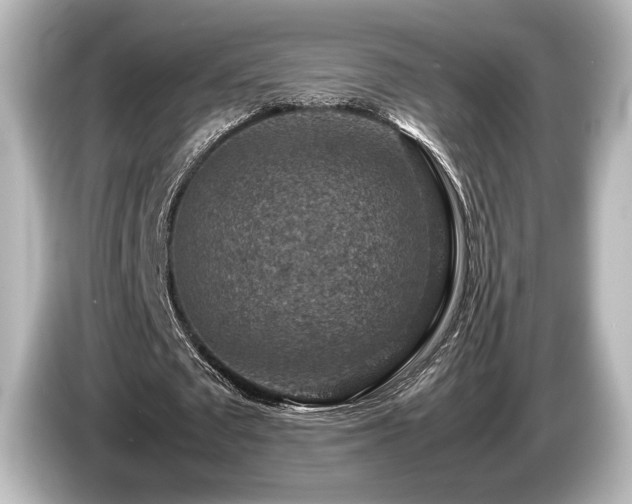 X0000085730673200703161006