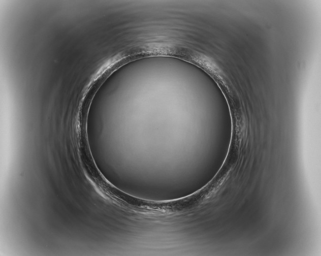 X0000085730674200703161006