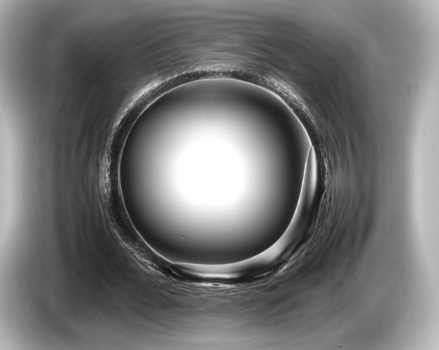 X0000085730676200703161006