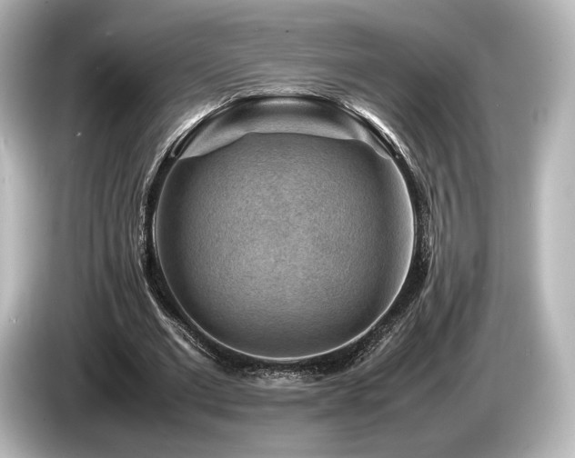 X0000085730677200703161006