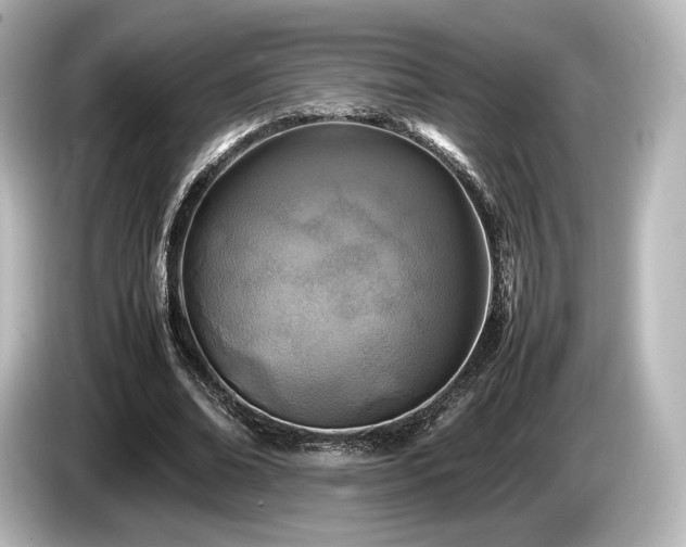 X0000085730678200703161006