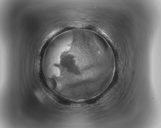 X0000085730679200703161006