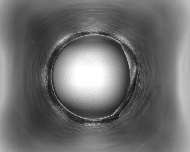 X0000085730680200703161006