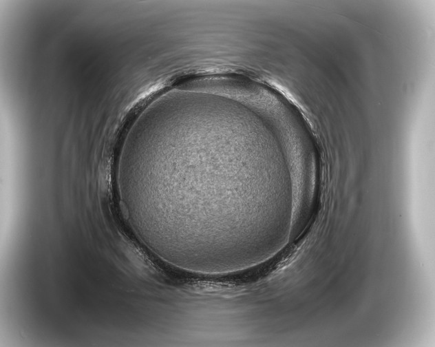 X0000085730681200703161006