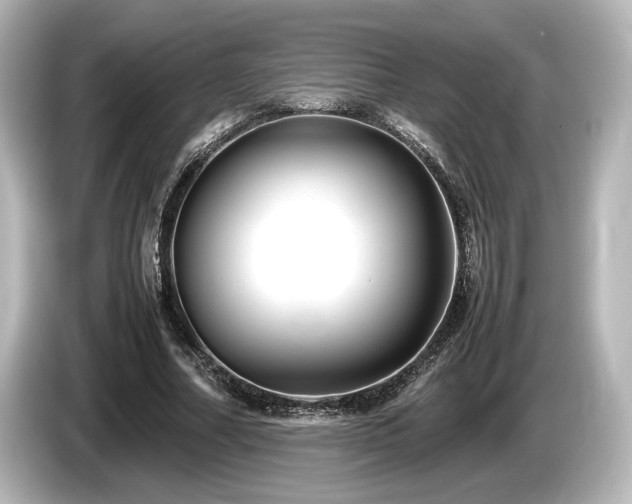 X0000085730682200703161006