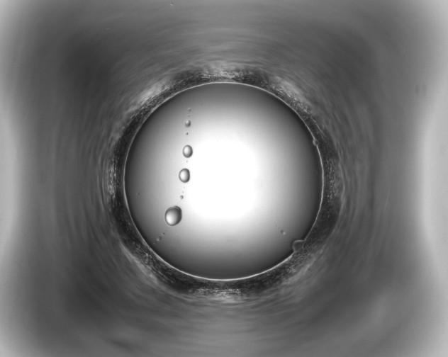 X0000085730683200703161006