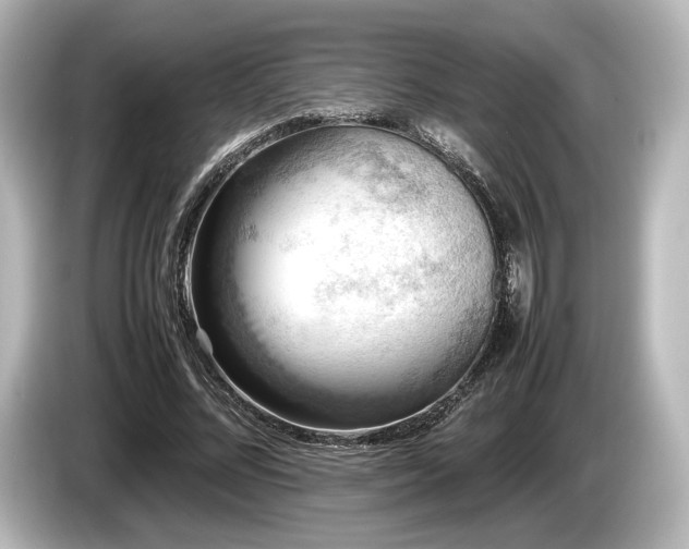 X0000085730684200703161006