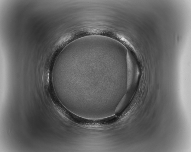 X0000085730685200703161006