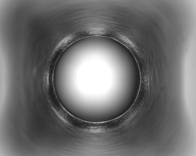 X0000085730686200703161006