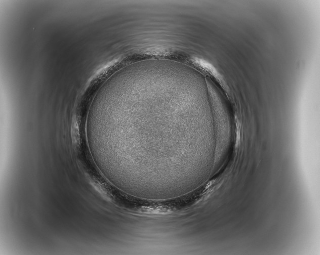 X0000085730688200703161006