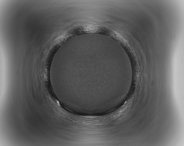 X0000085730689200703161006