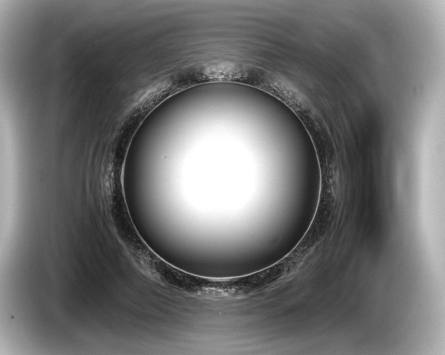 X0000085730690200703161006