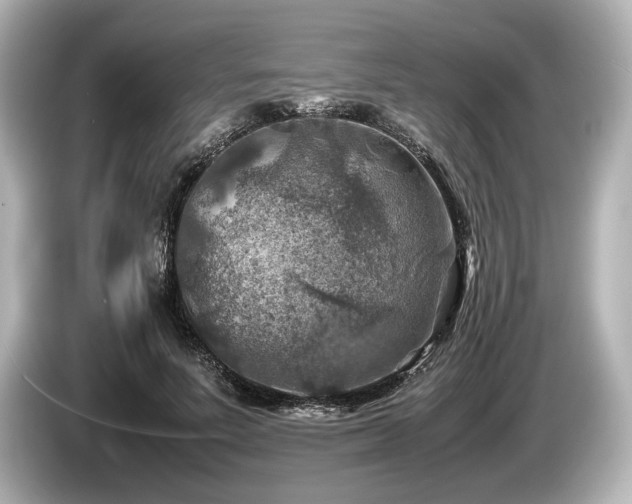 X0000085730691200703161006