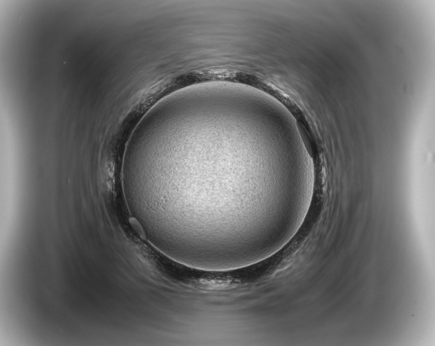 X0000085730693200703161006