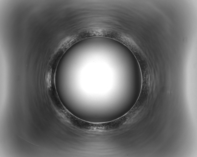 X0000085730694200703161006