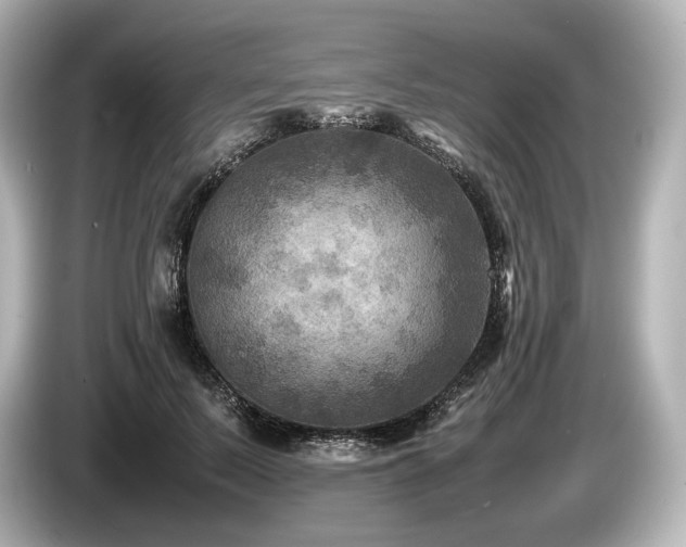 X0000085730695200703161006