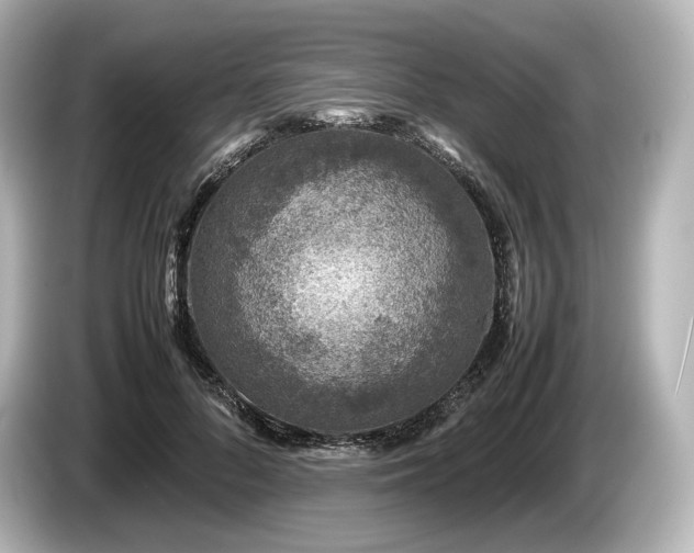 X0000085730696200703161006