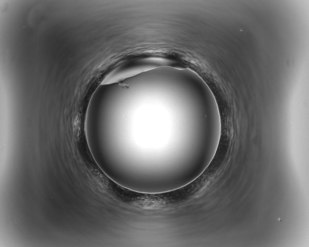 X0000085730697200703161006