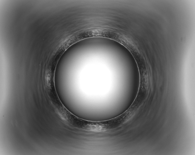 X0000085730698200703161006