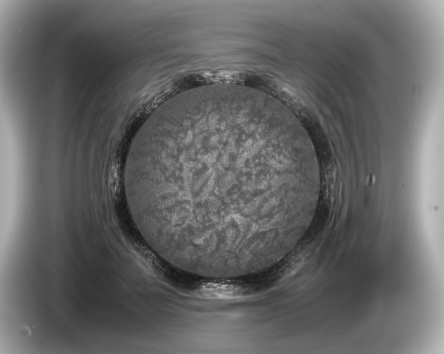 X0000085730699200703161006