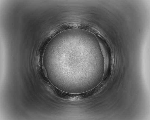 X0000085730700200703161006