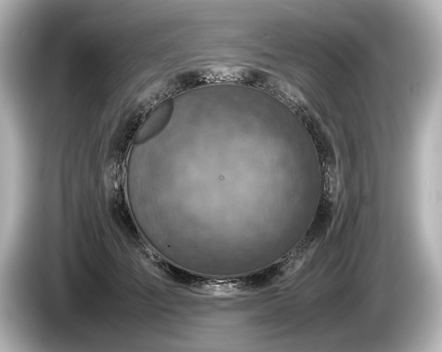 X0000085730701200703161006