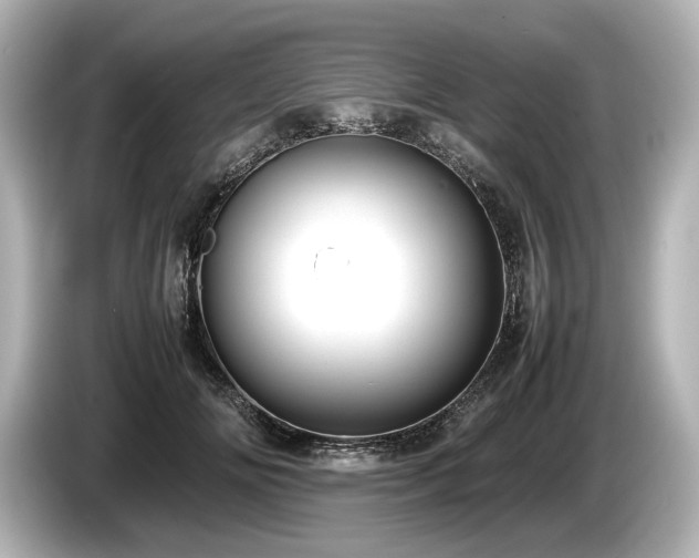 X0000085730702200703161006